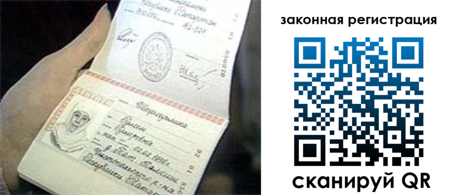 прописка для школы в Ленинградской области